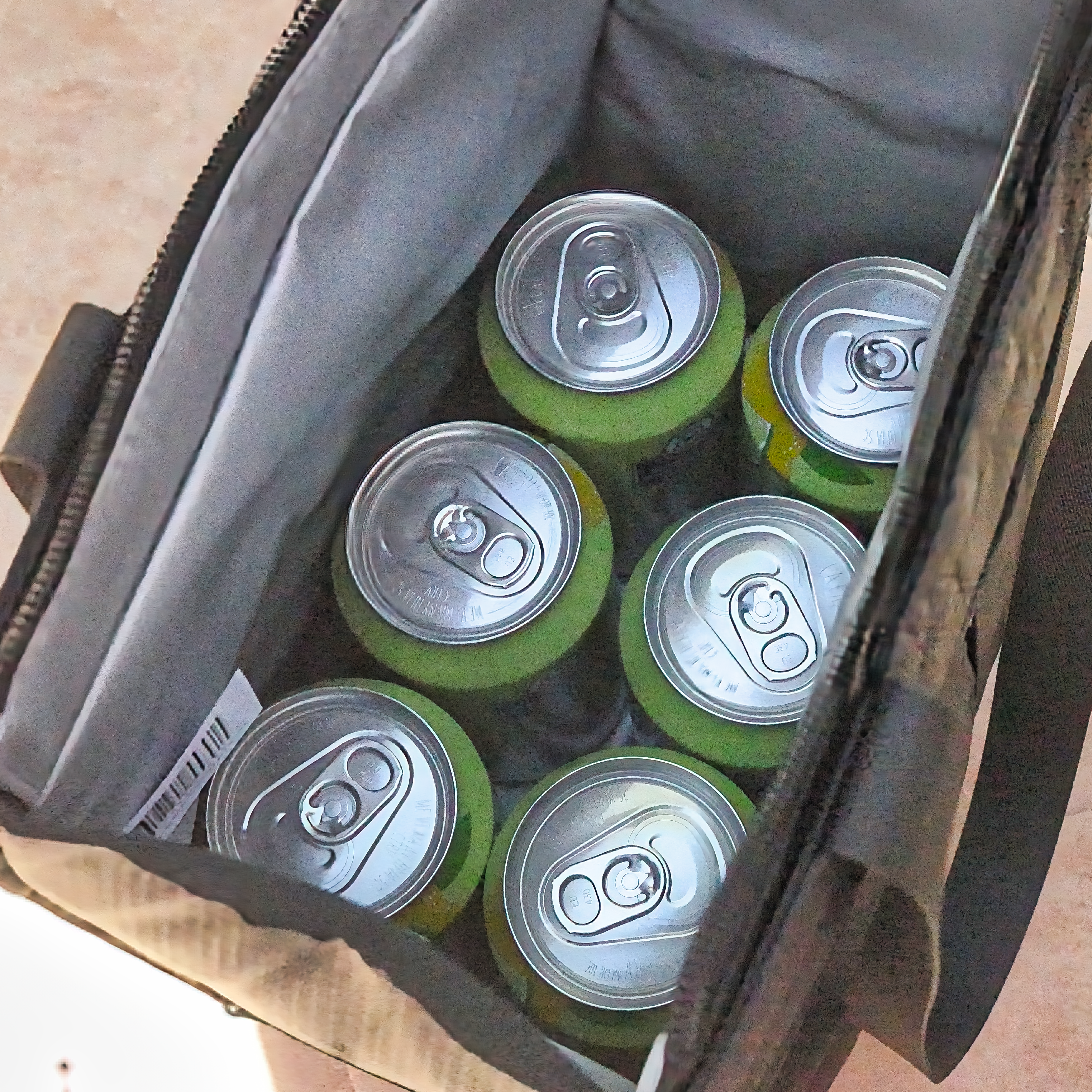 LIVIN' INSULATED COOLER BAG